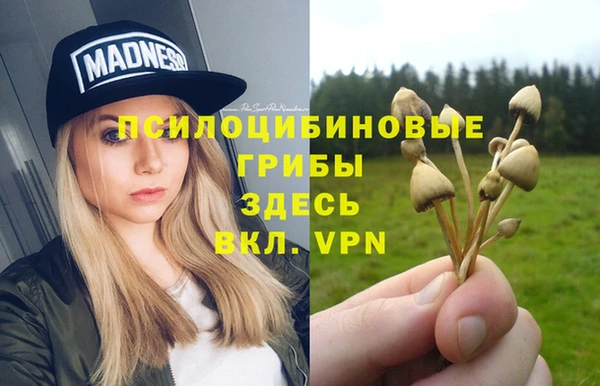 apvp Балахна