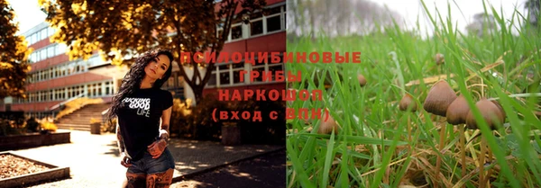 apvp Балахна