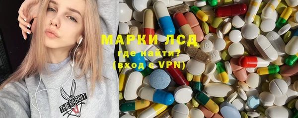 прущие грибы Пролетарск